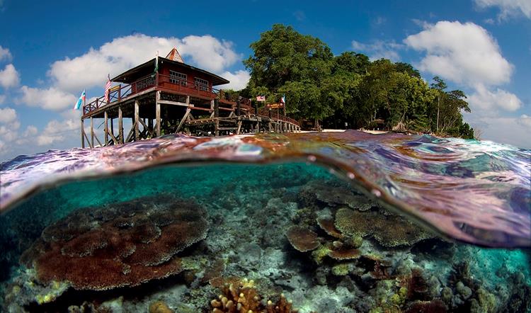 5 Best Diving Places In Malaysia For Scuba Diving Lovers